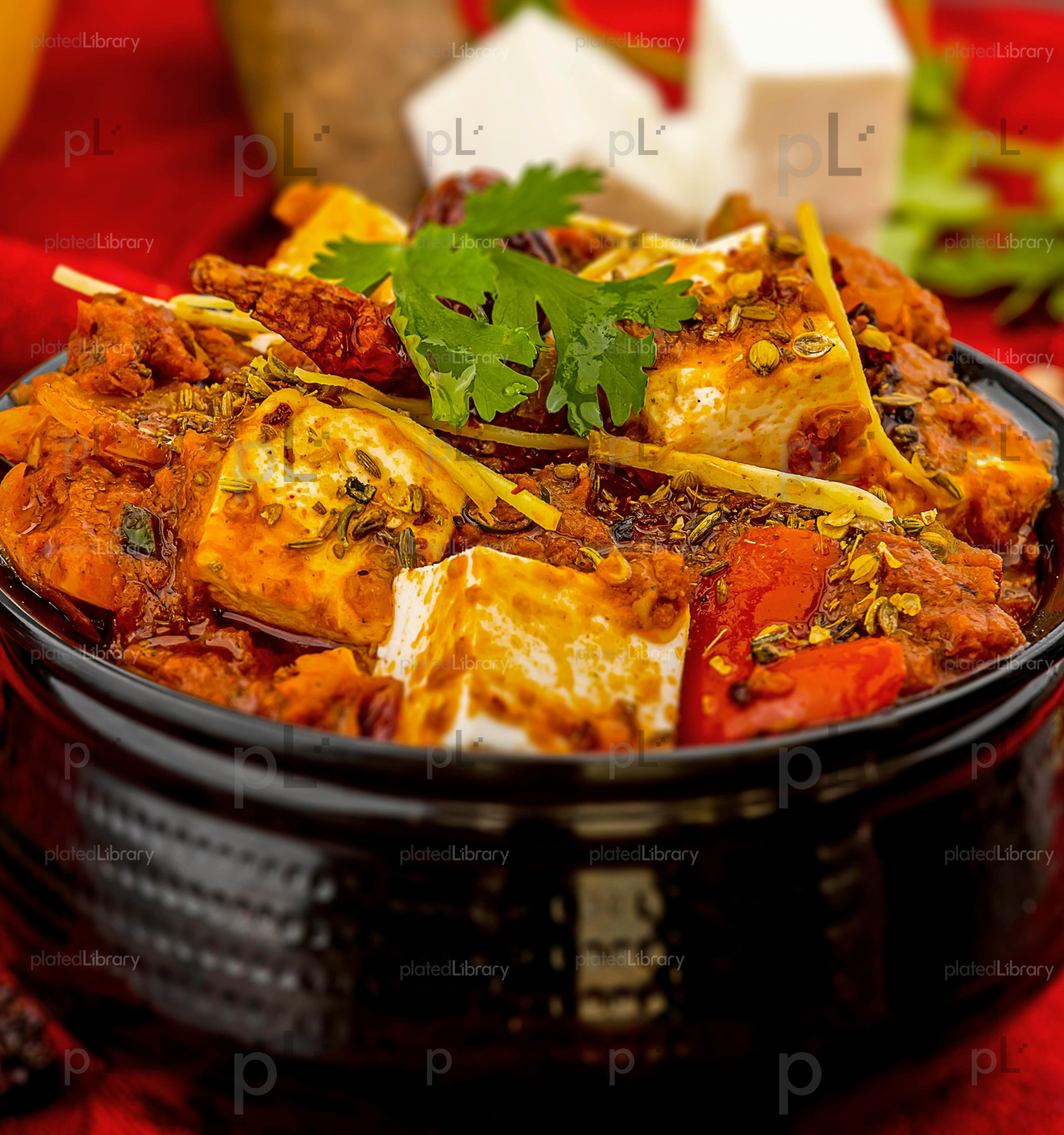 Discover how platedLibrary provides exclusive, chef-styled Indian food images to help restaurants build brand identity, boost conversions, and grow online.