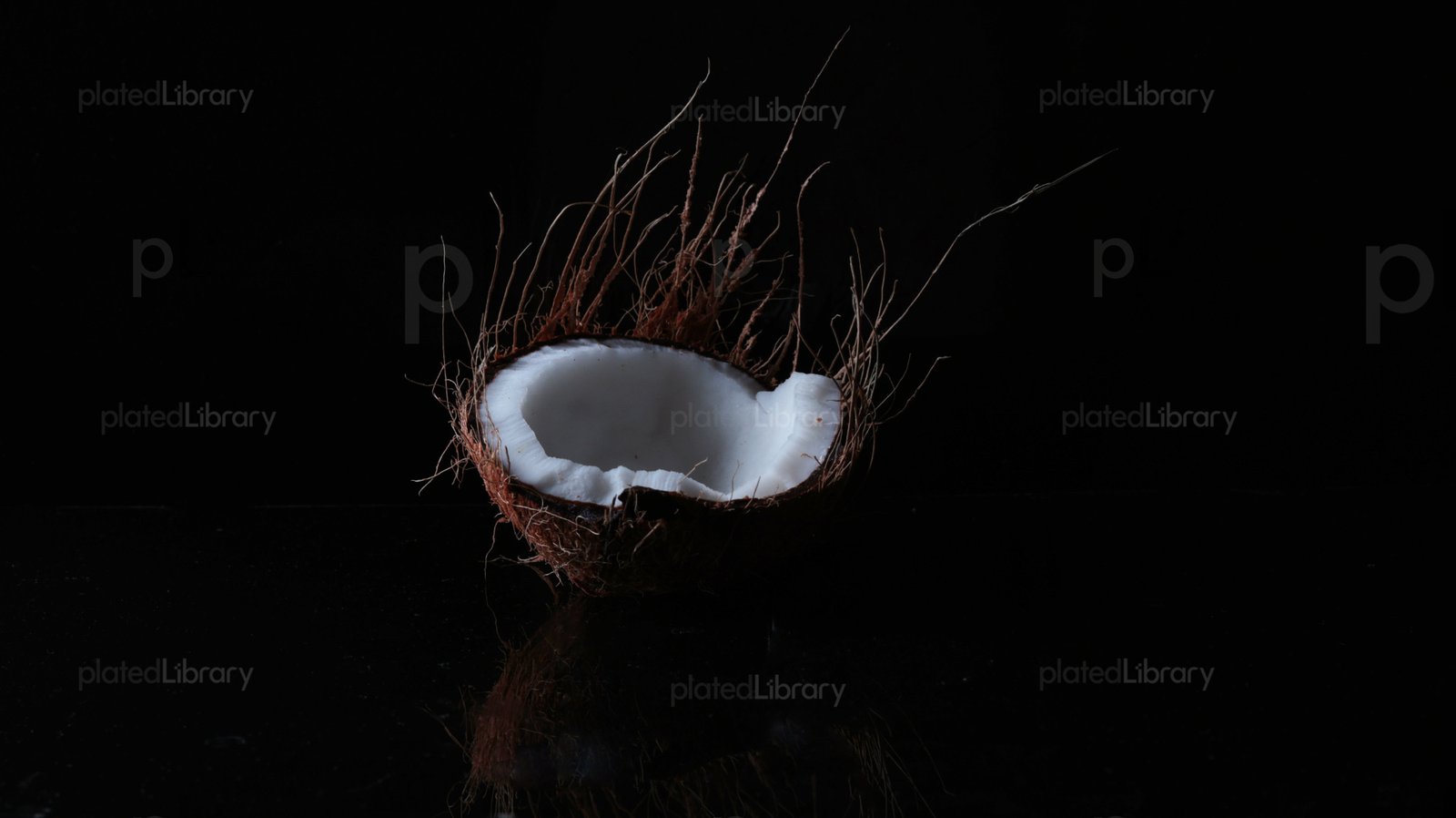 Coconut