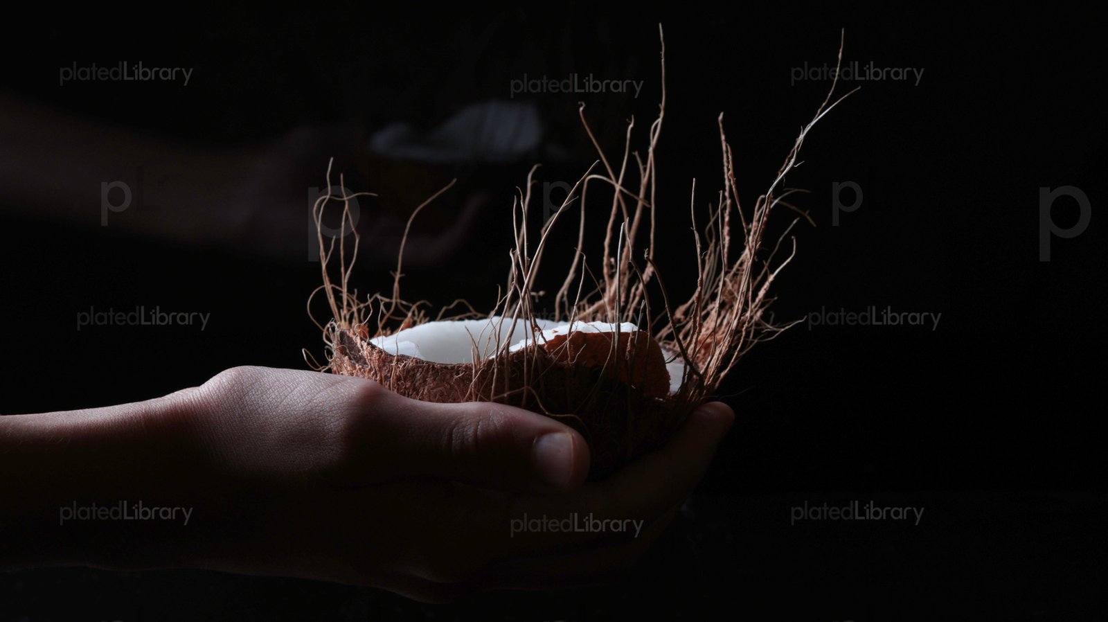Coconut