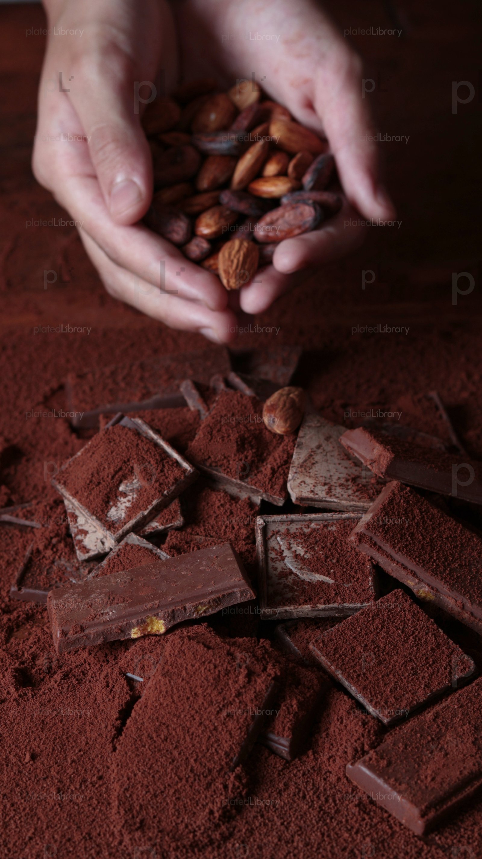 Dark Chocolate