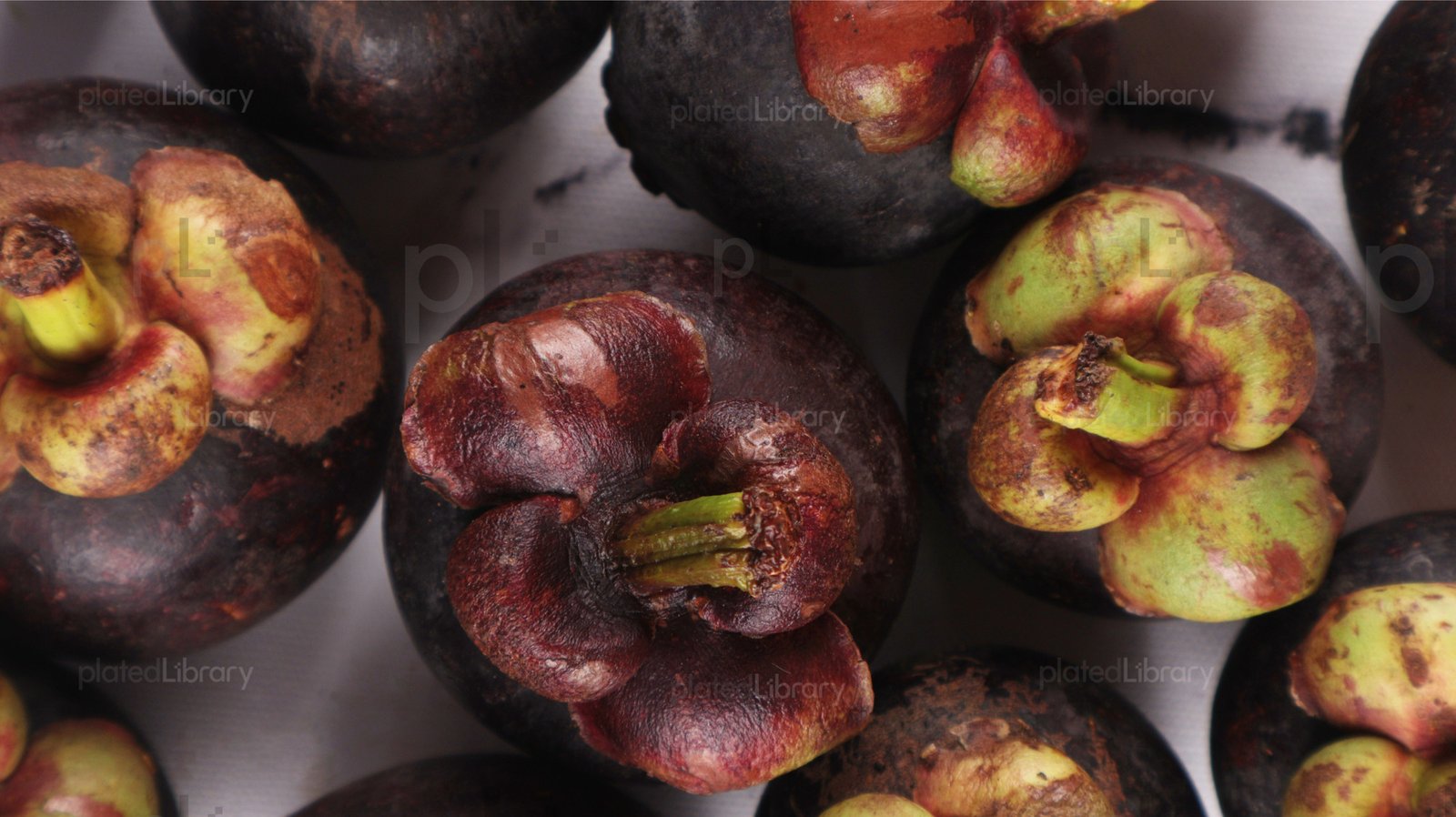 Mangosteen