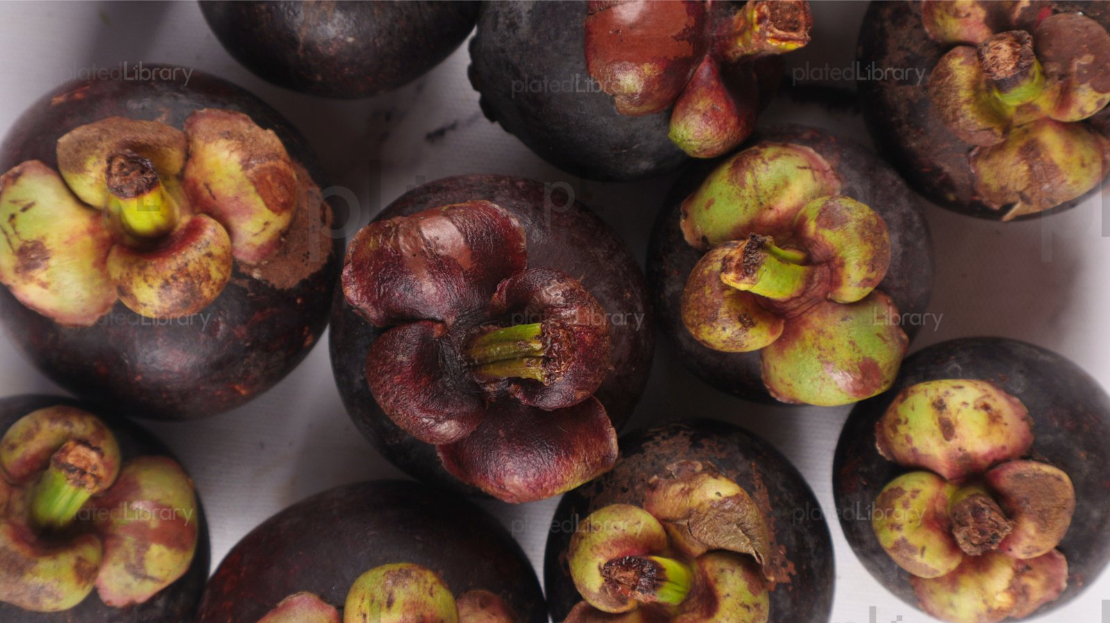 Mangosteen