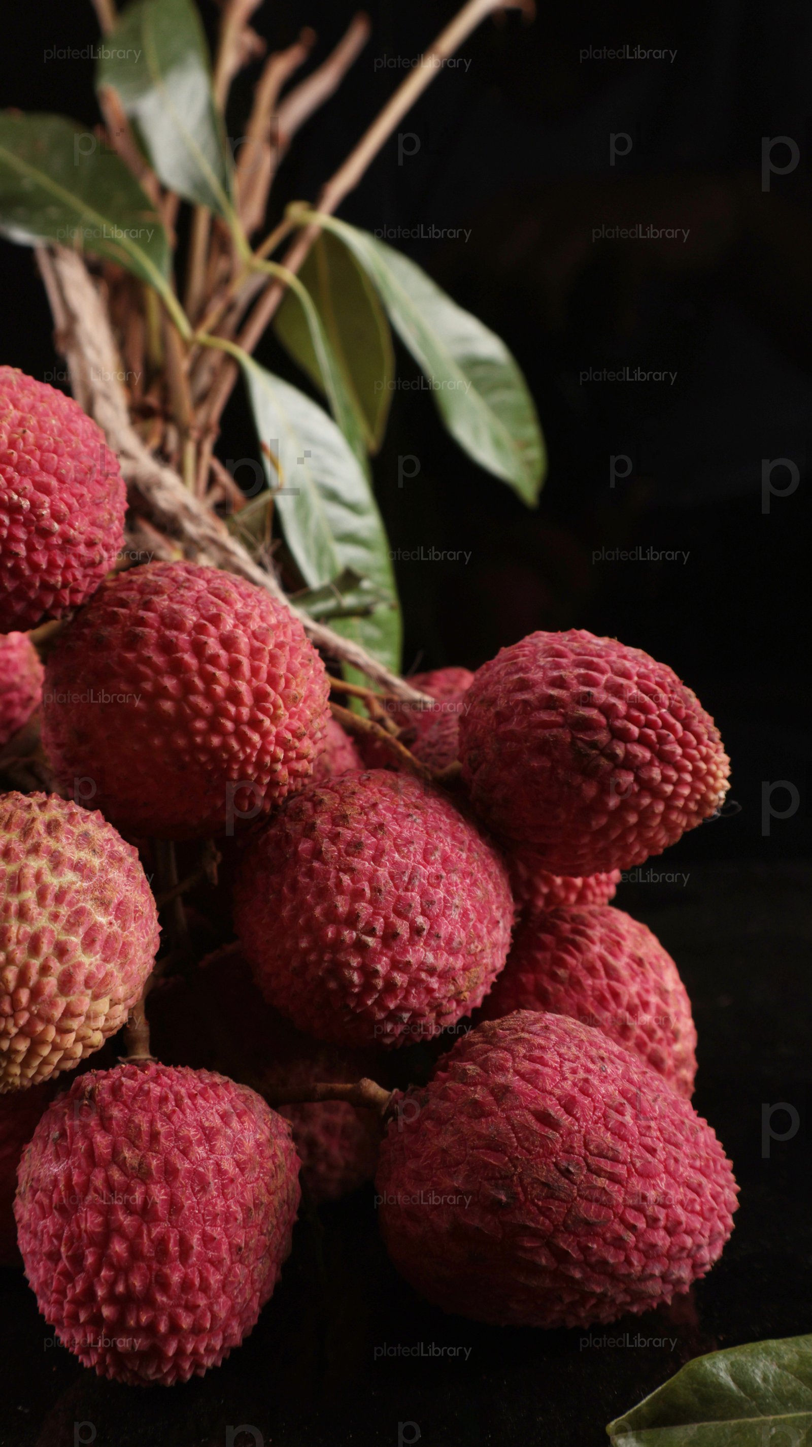 Lychee