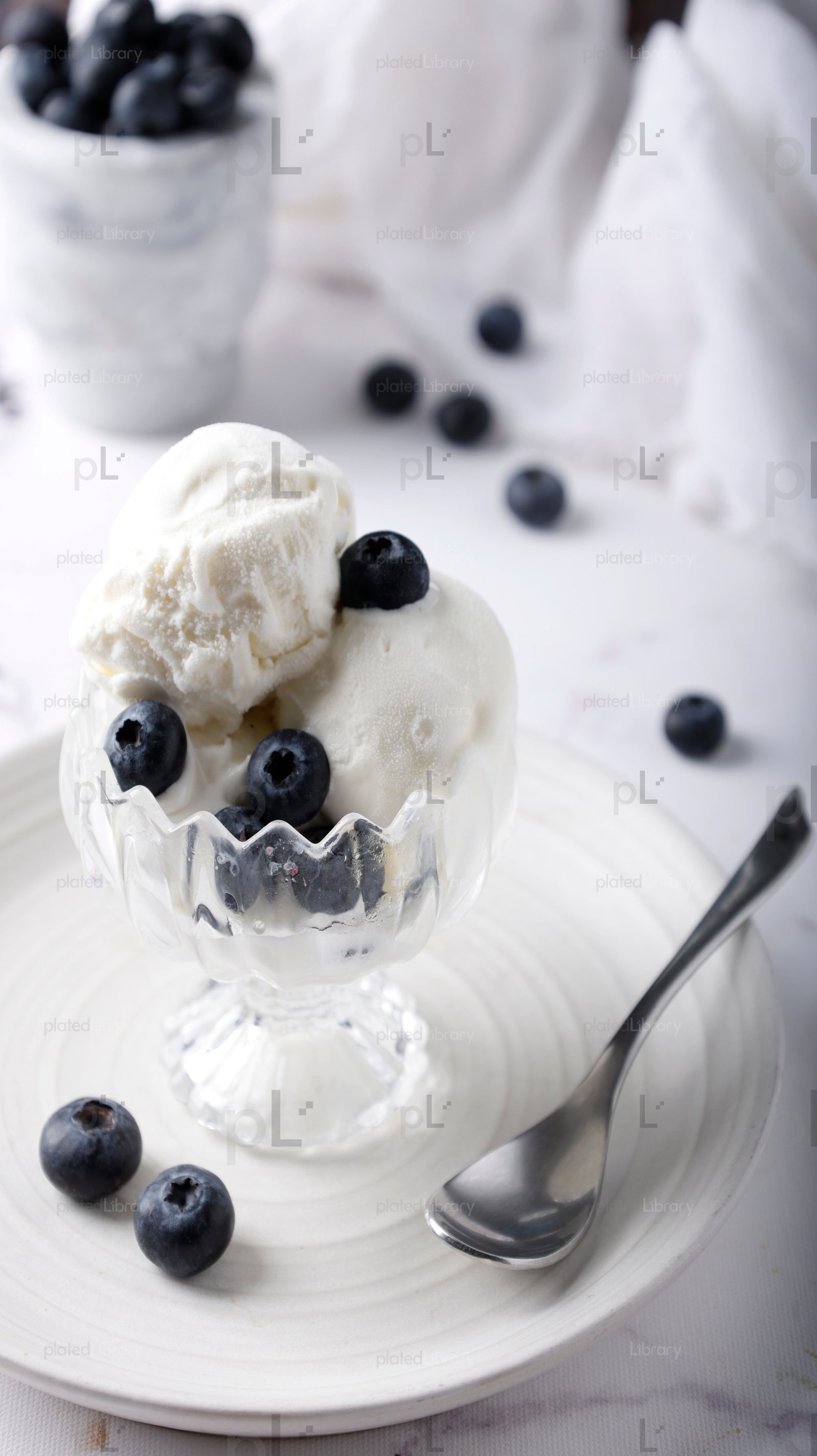 Blueberry Ice Cream