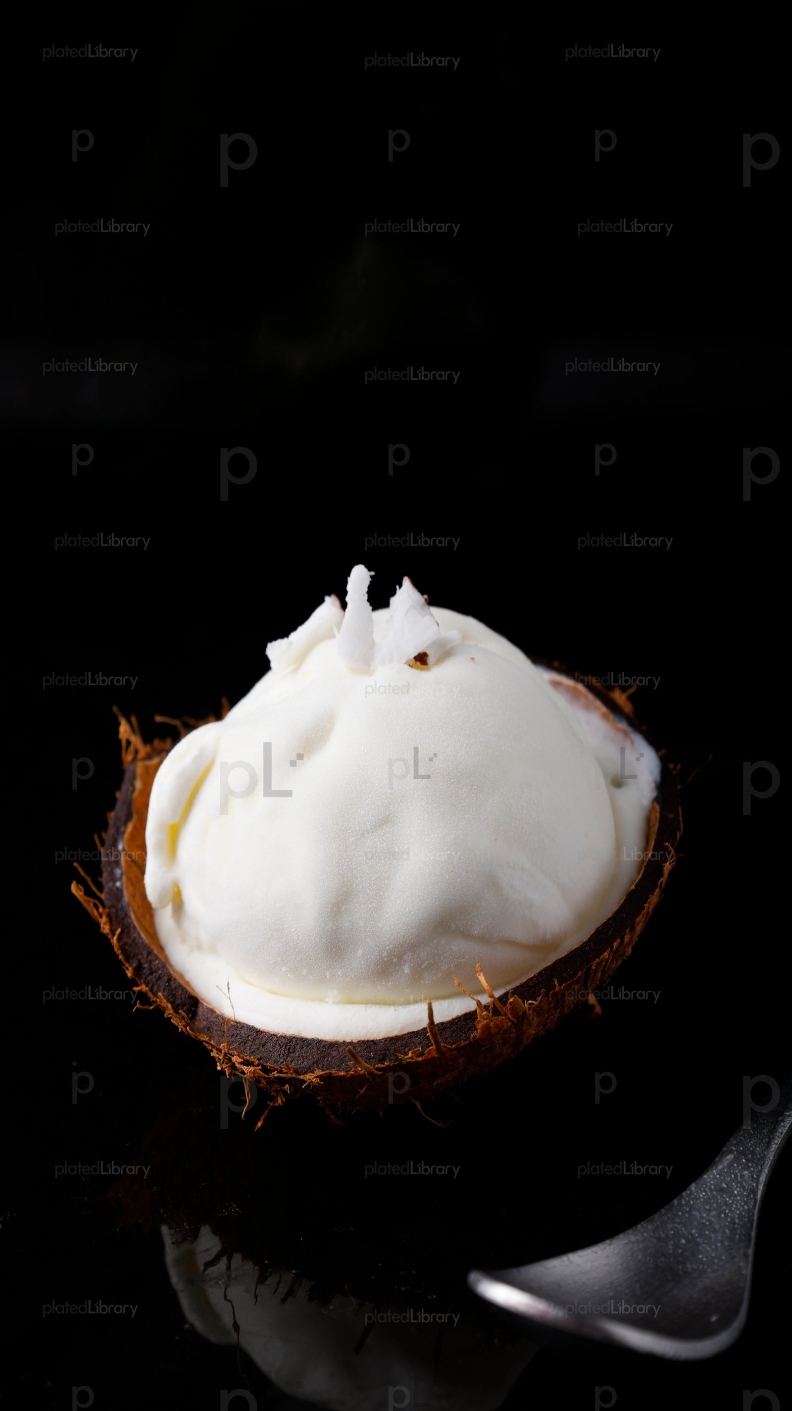 Coconut Ice Cream