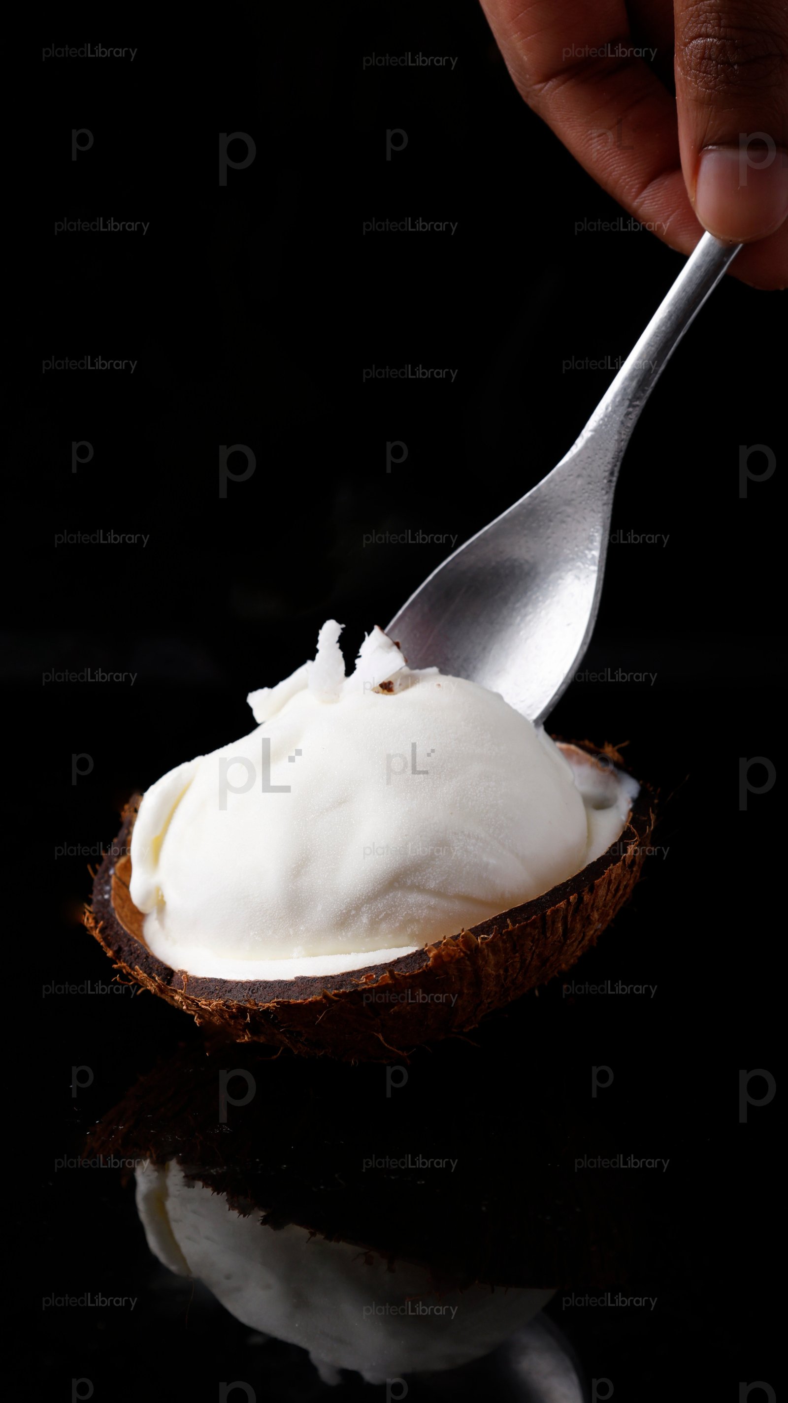 Coconut Ice Cream