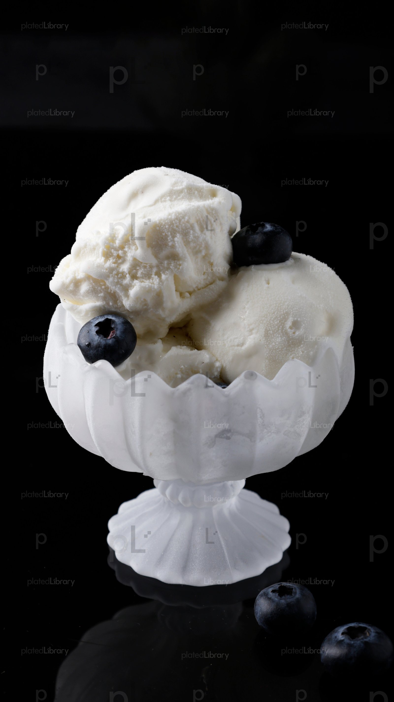 Blueberry Ice Cream
