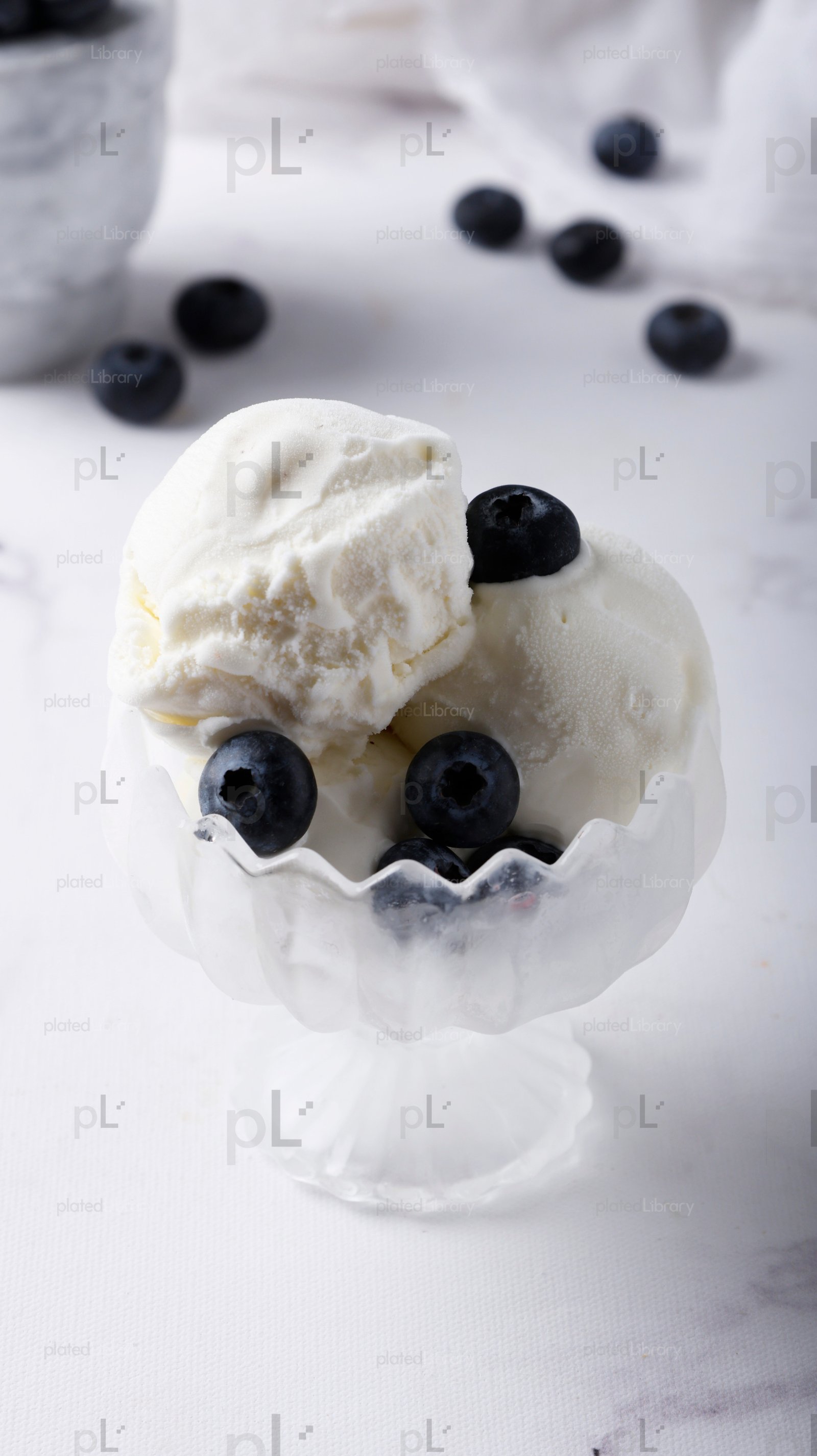 Blueberry Ice Cream