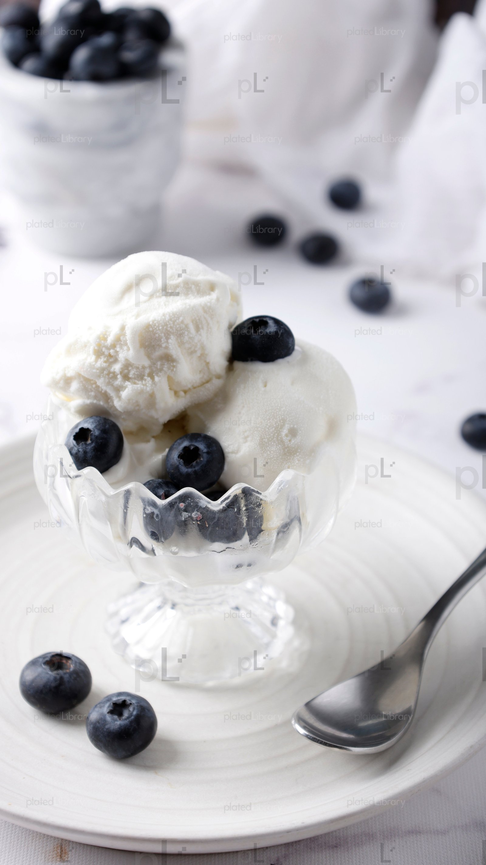Blueberry Ice Cream
