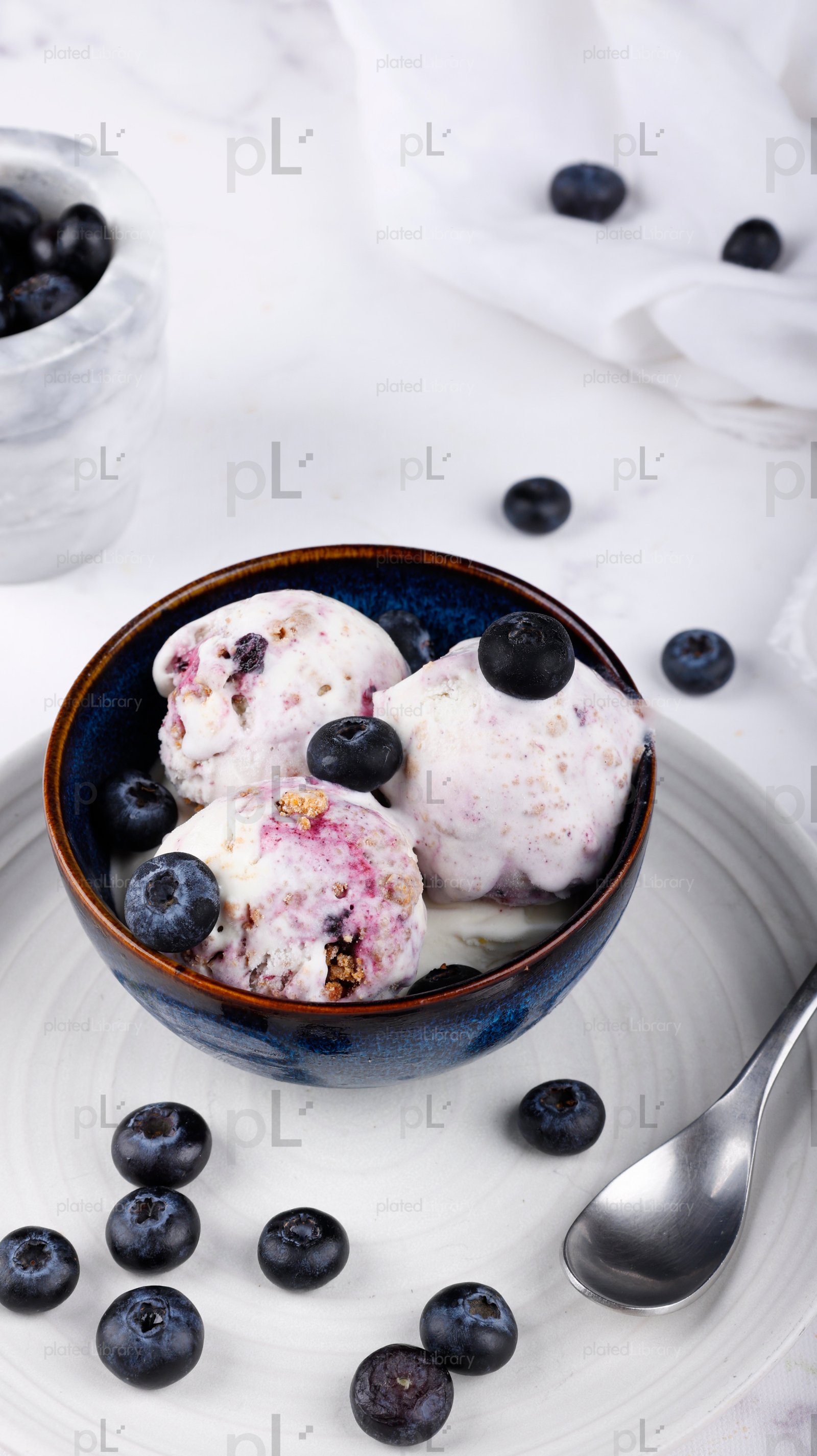 Blueberry Ice Cream