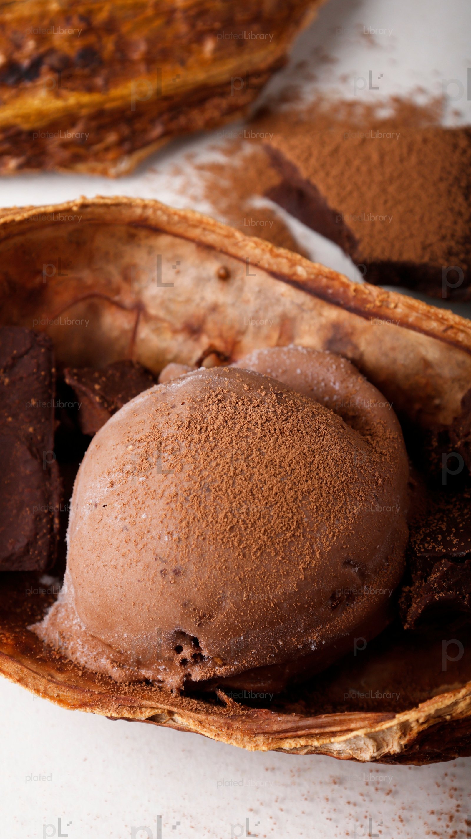 Chocolate Ice Cream