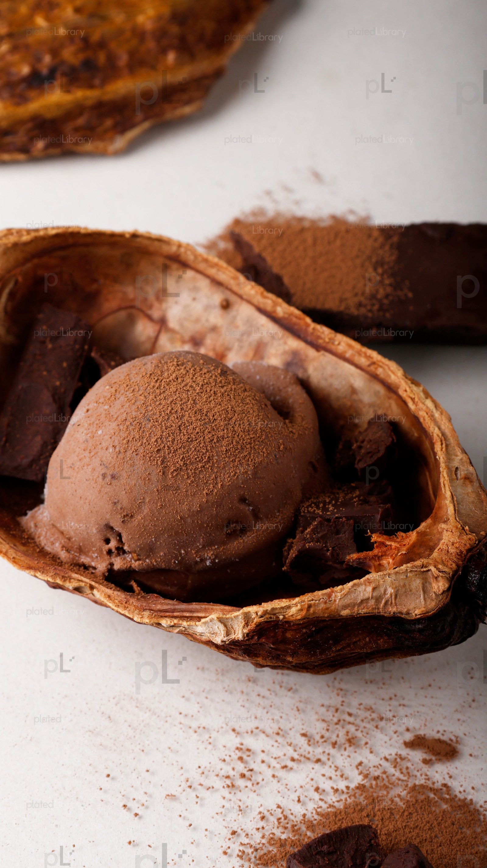 Chocolate Ice Cream