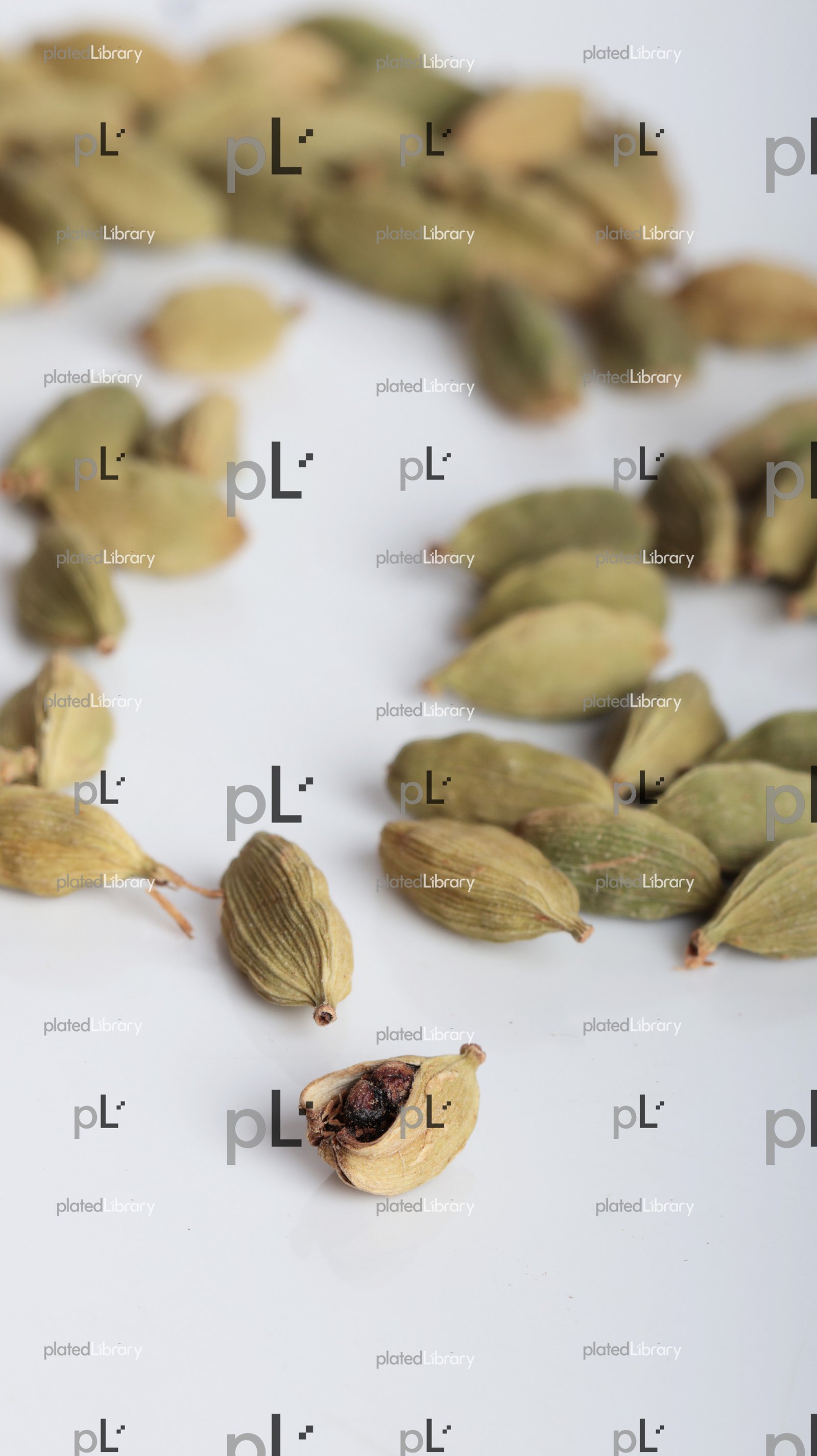 Cardamom