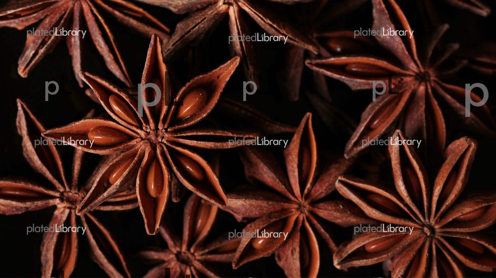 Star Anise